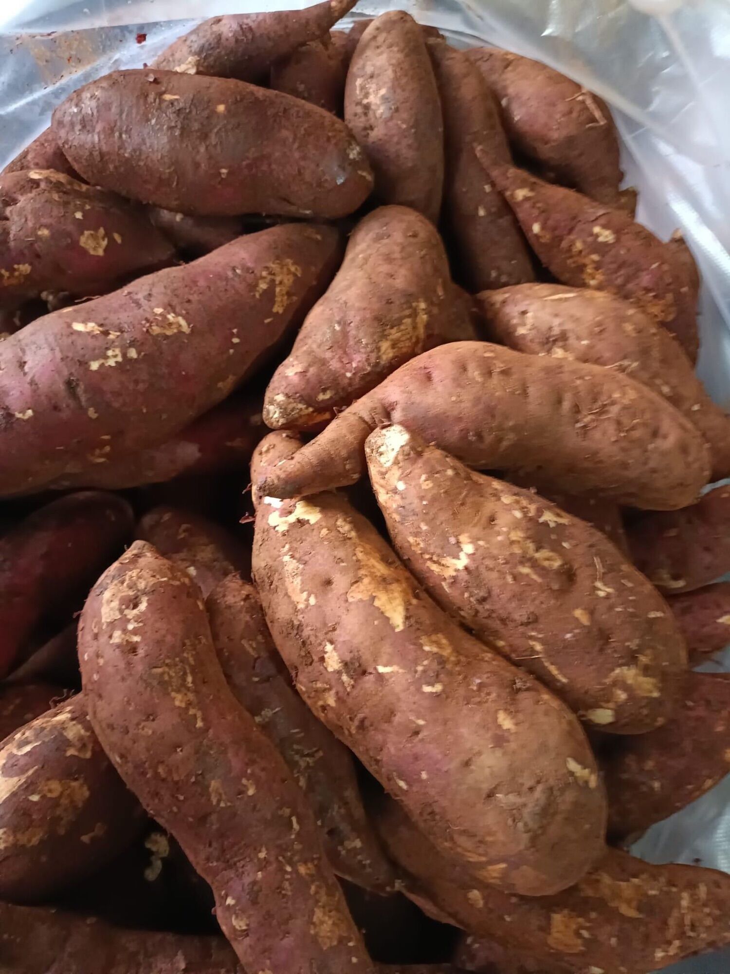 3 kg KHOAI LANG Nhật