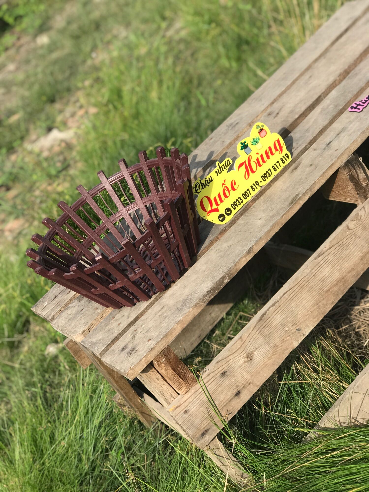 Chậu lan Que giả gỗ đen F35