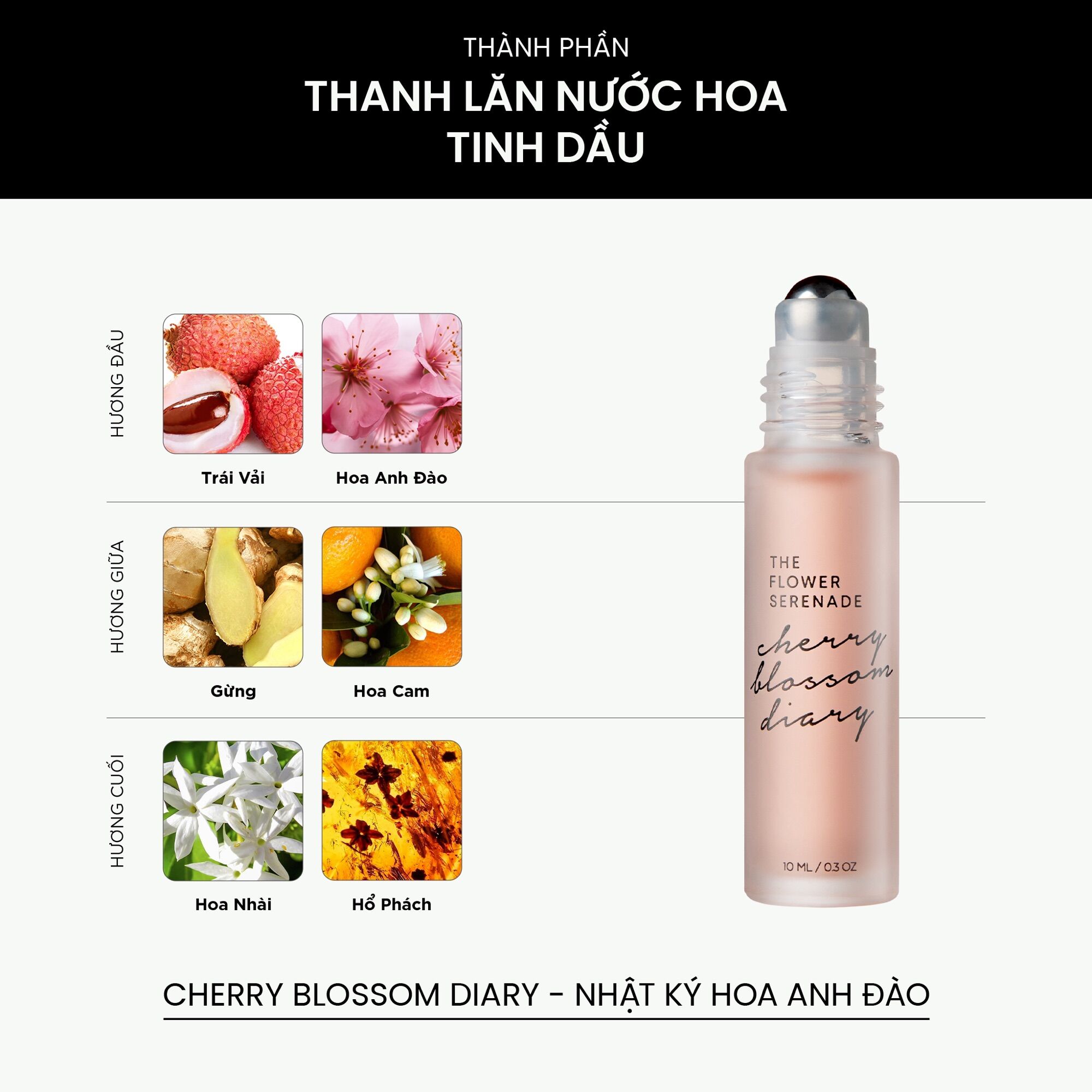 Thanh Lăn Nước Hoa Tinh Dầu SKINLAX (10ml)