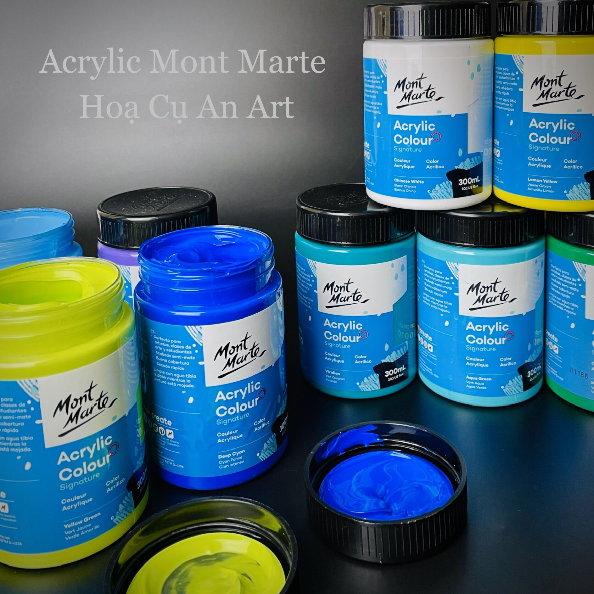 Màu acrylic mon marte 300ml - bảng màu 1