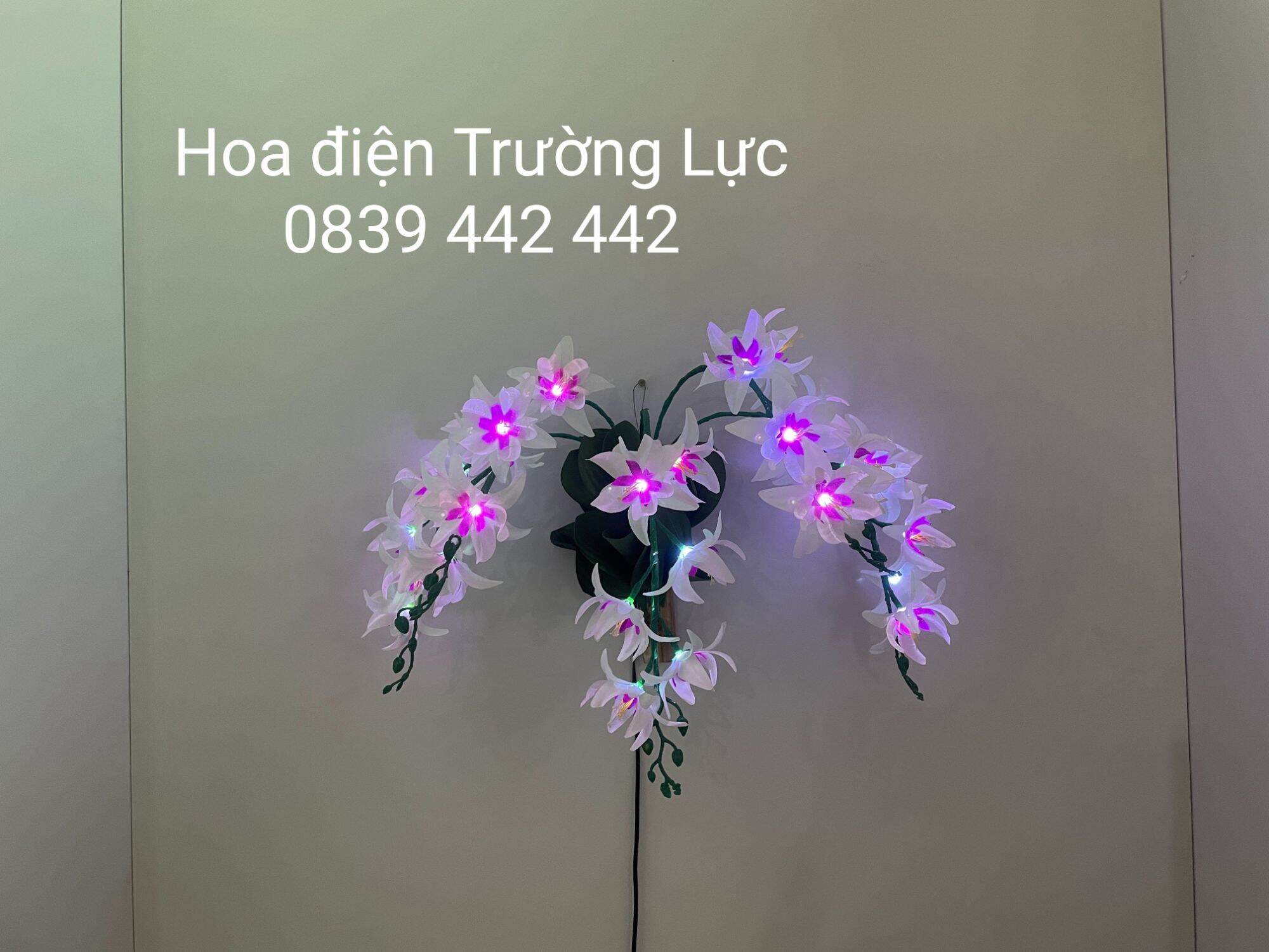 Hoa Lan Treo Tường - Hoa Trang Trí Có Đèn