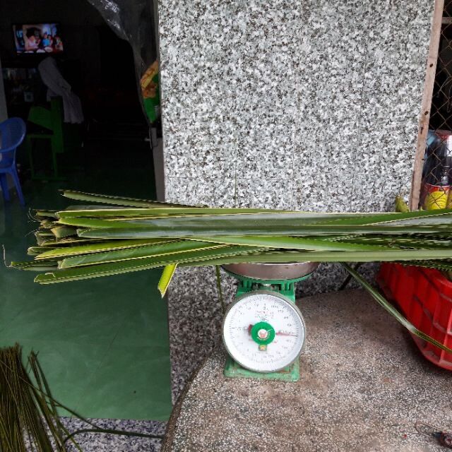Lá dừa tươi 0.5kg khoản 30 lá