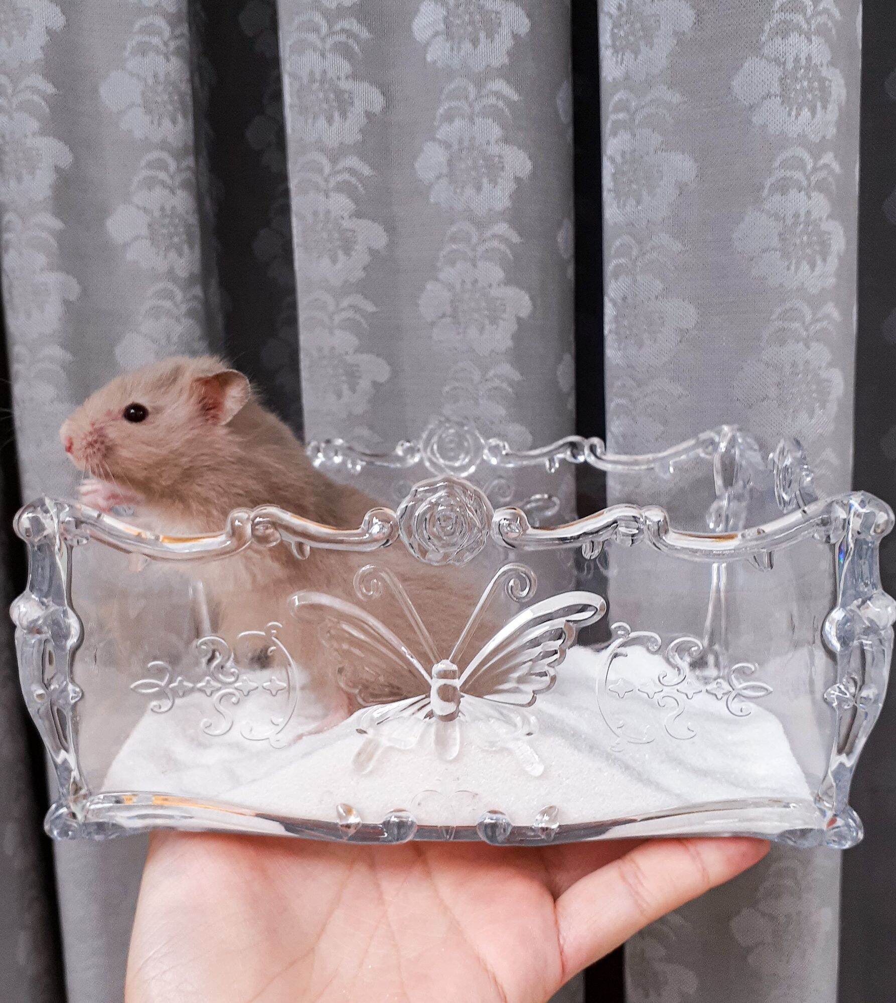 Nhà tắm Princess Luxury cho hamster