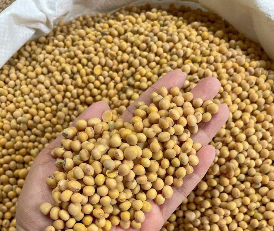 Combo 5 Hộp - Bột đậu nành rang xay nguyên chất ( 1 Hộp 500g )