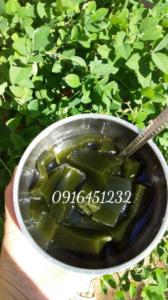 100g Lá sương sâm lông khô tặng bột nang mực (hút chân không)