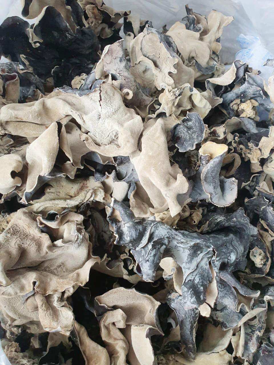100gr mọc nhĩ ( nấm mèo)