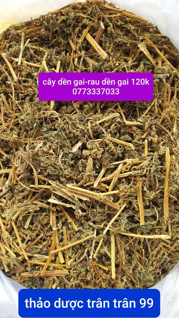 Cây dền gai - rau dền gai phơi khô 1kg