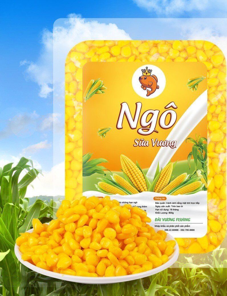 Ngô Sữa Vương- mồi câu cá chép , trắm cỏ