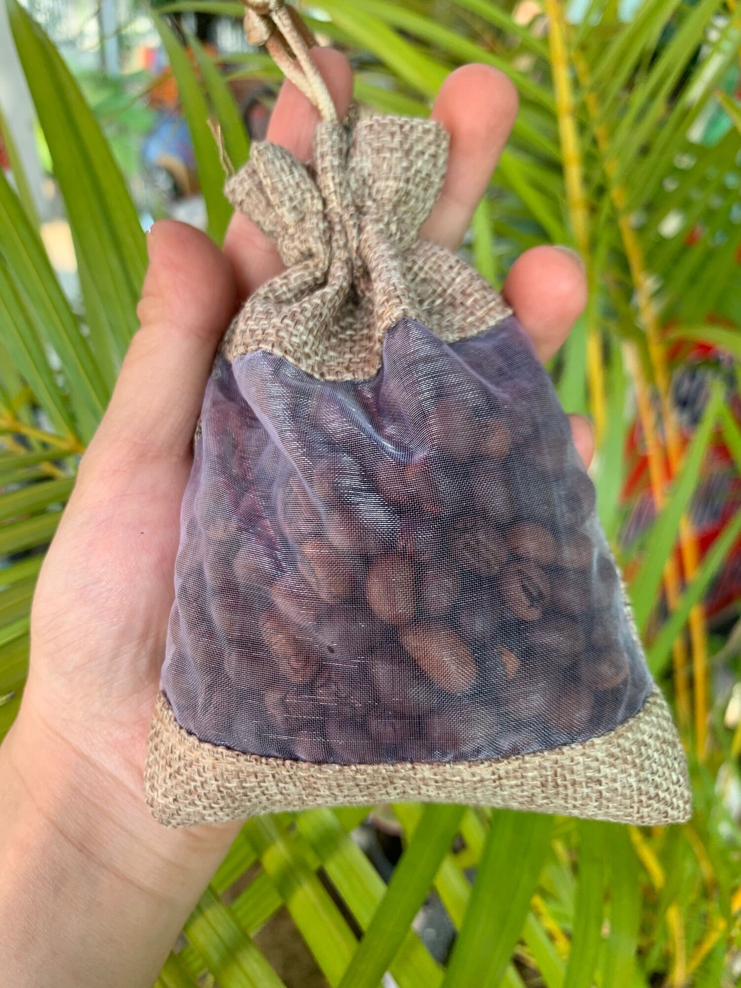 Túi Thơm Cà Phê Hoặc Túi Vải Đay Cửa Sổ