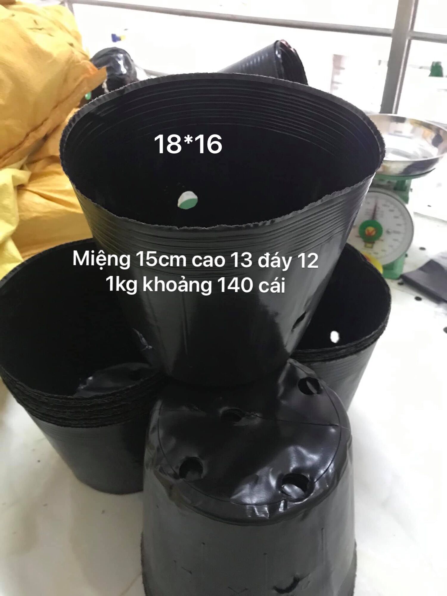 1kg bầu ươm cây 18.16(140 cái/kg)