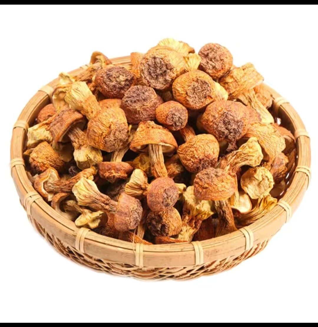Nấm Tùng Nhung