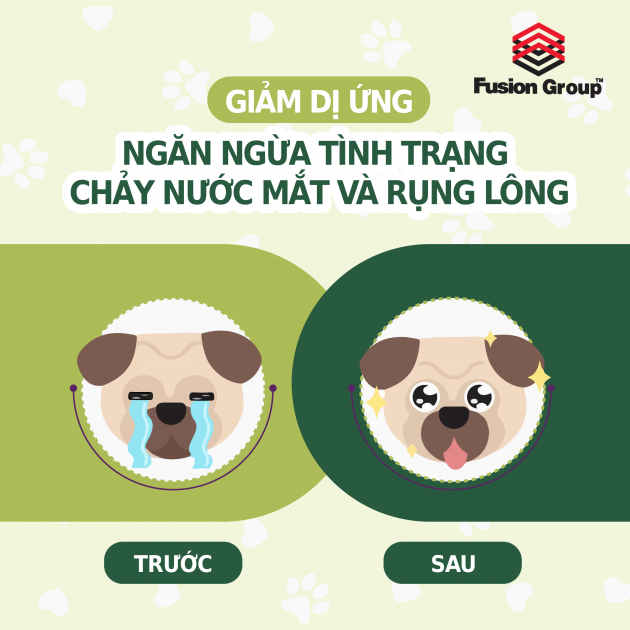 (1.2KG) HẠT THỨC ĂN WELLSOME DÀNH CHO CHÓ LỚN
