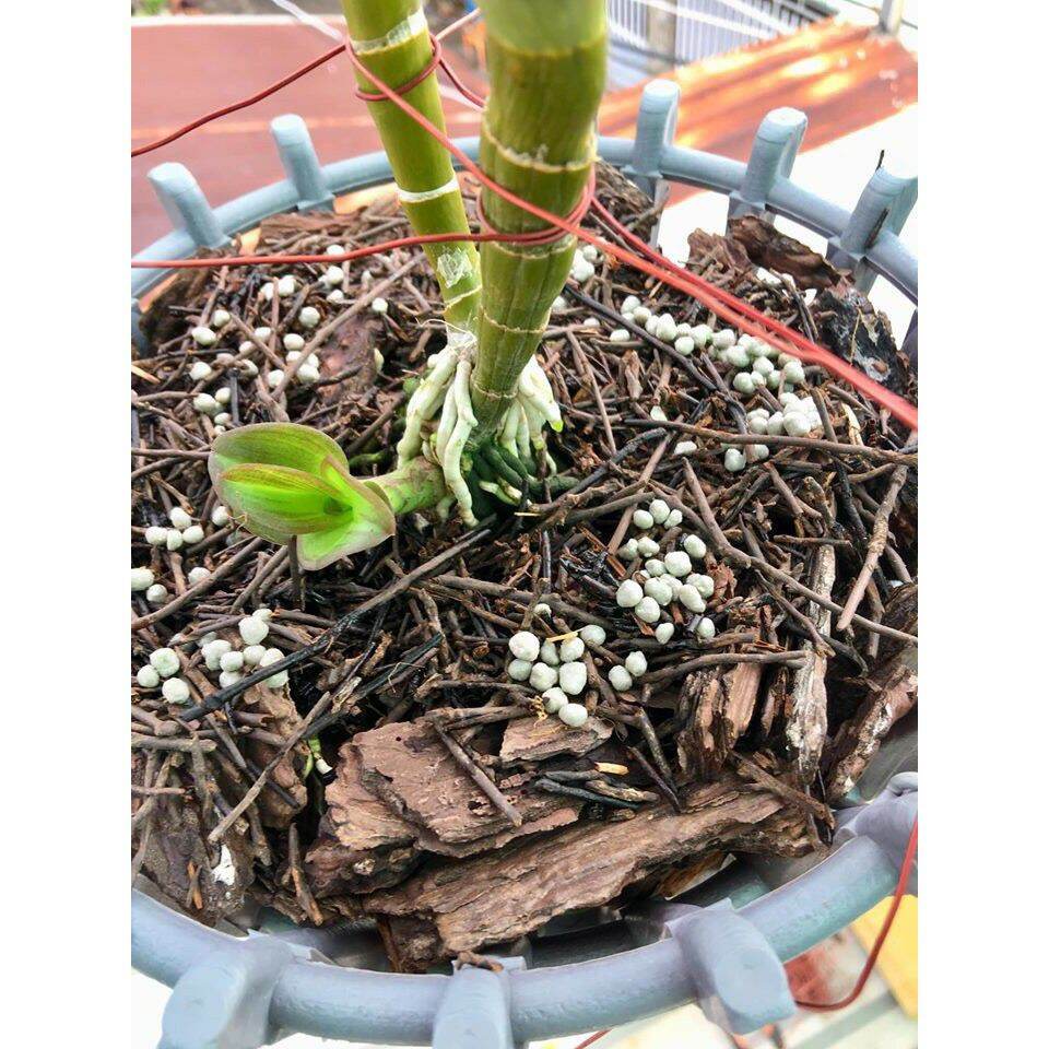 (Gói 100gram) Phân chì tan chậm Nhật Bản 13-11-11+ ME vi lượng