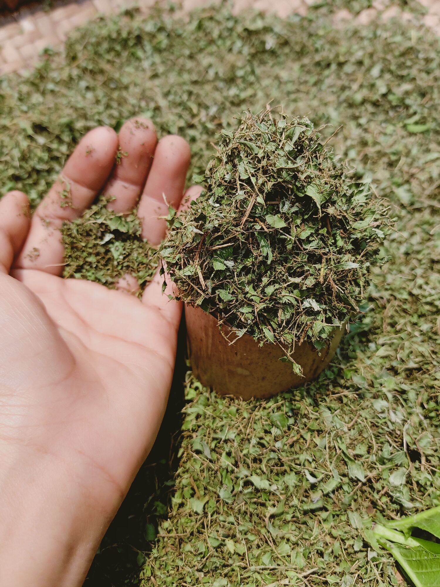 Bột lá ổi dùng pha trà, hỗ trợ giảm cân túi 500g