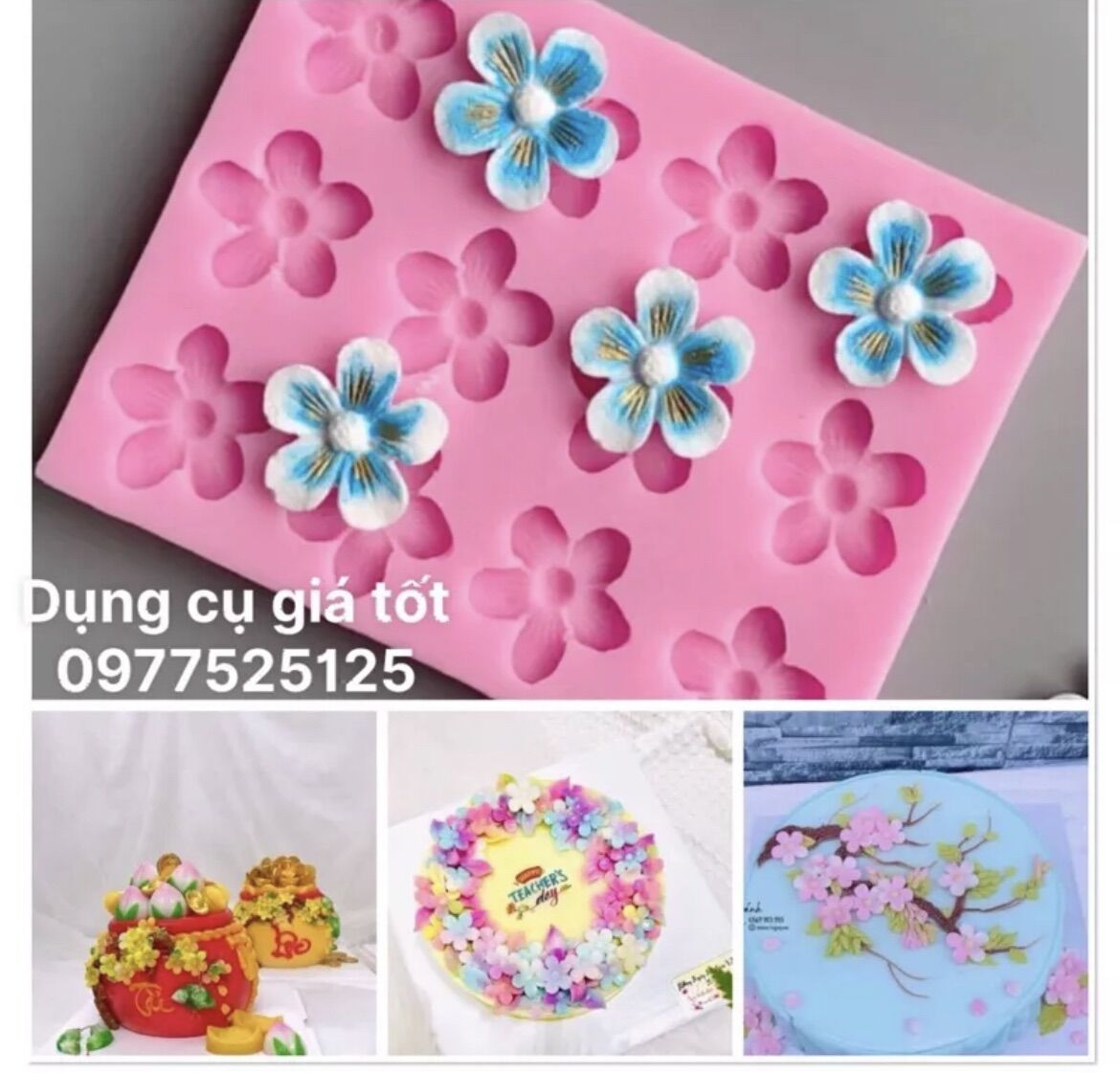 Khuôn silicon vỉ 12 hoa mai,hoa đào
