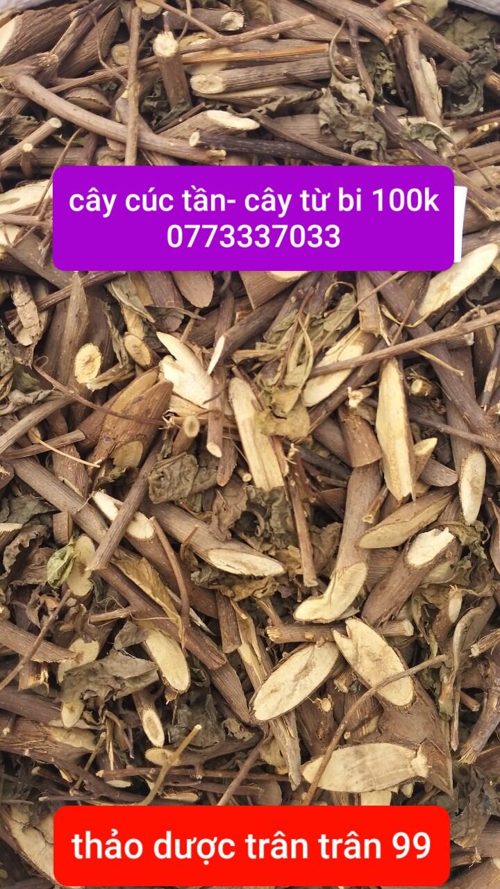 Cây cúc tần- từ bi phơi khô 1kg