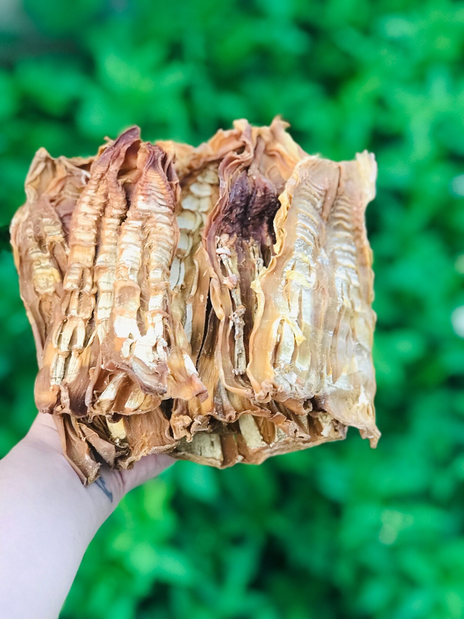 Măng mầm Tây Bắc loại 1 thơm ngon non