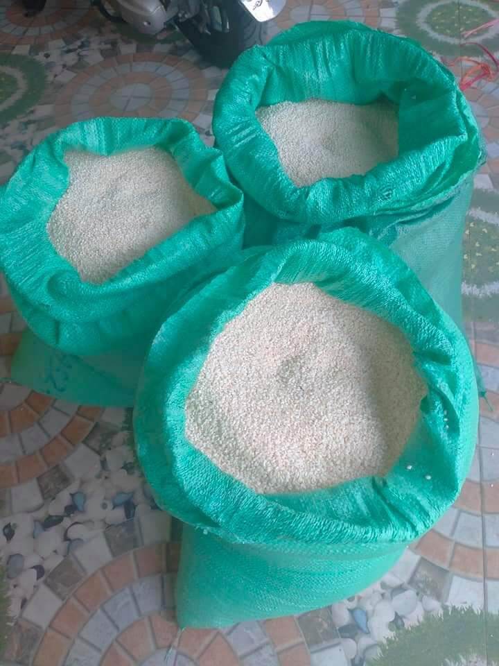 Nếp nương Lào hạt tròn ( nếp Kay Nọi)