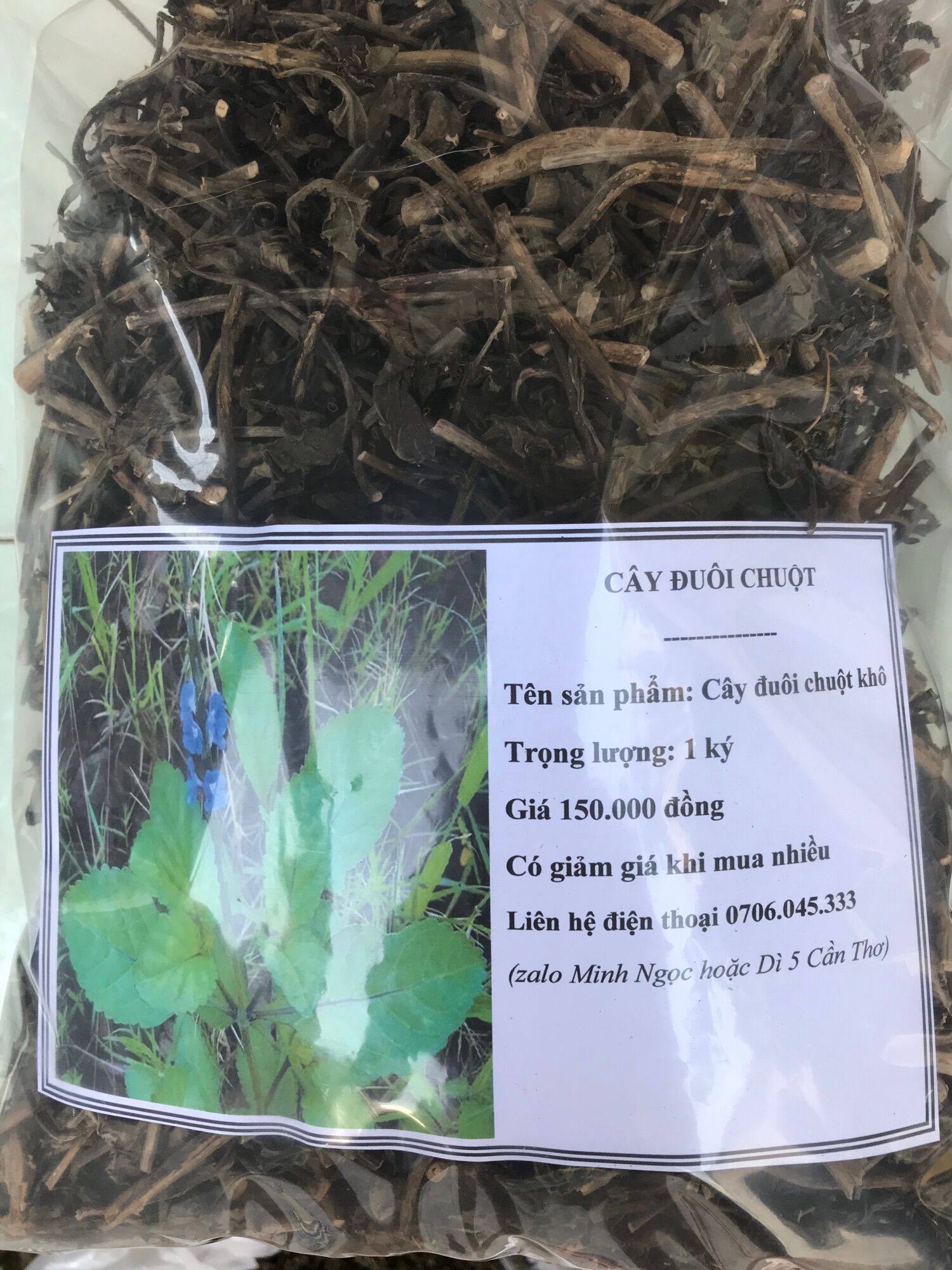 Cây đuôi chuột phơi khô 1 ký