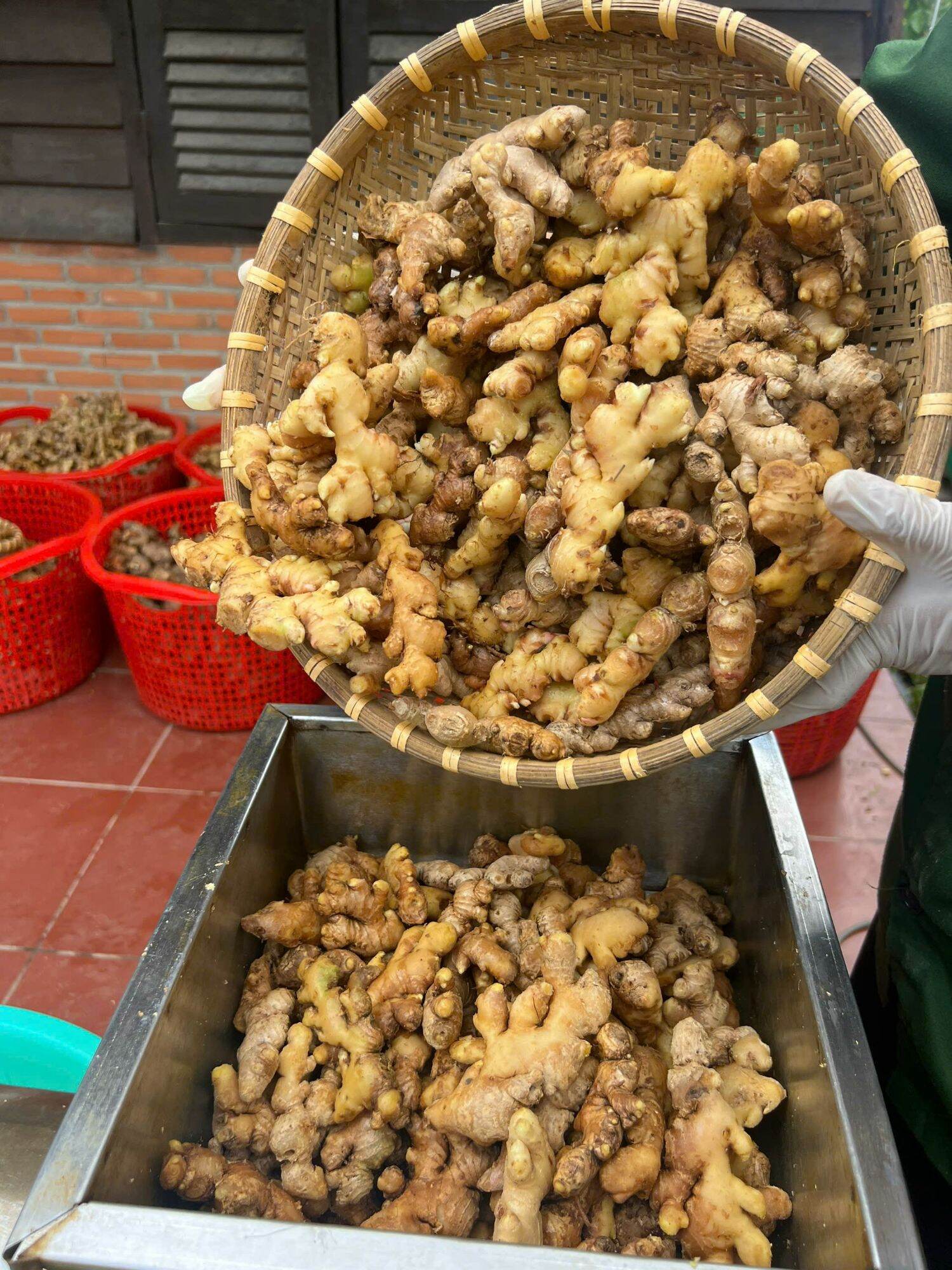 CỐT GỪNG NGHỆ GẤC ĐẬM ĐẶC CHO MẶT