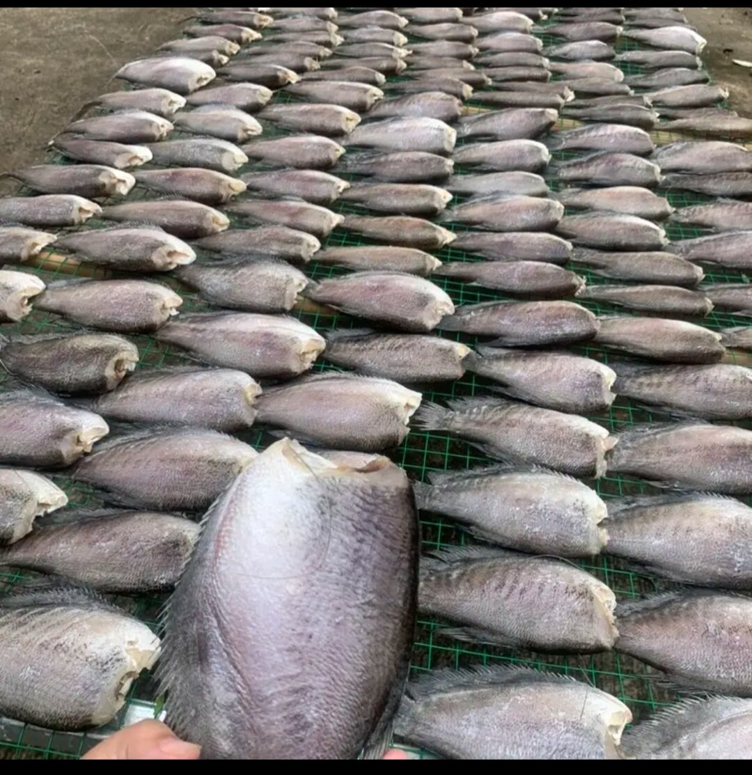 1 ký khô cá sặc đóng gói hút chân không