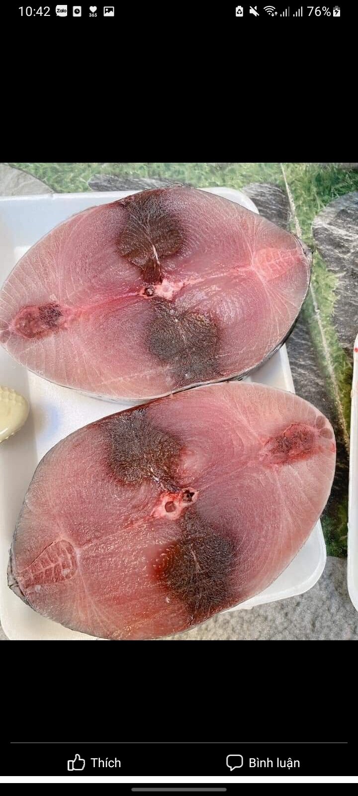 cá ngừ nướng