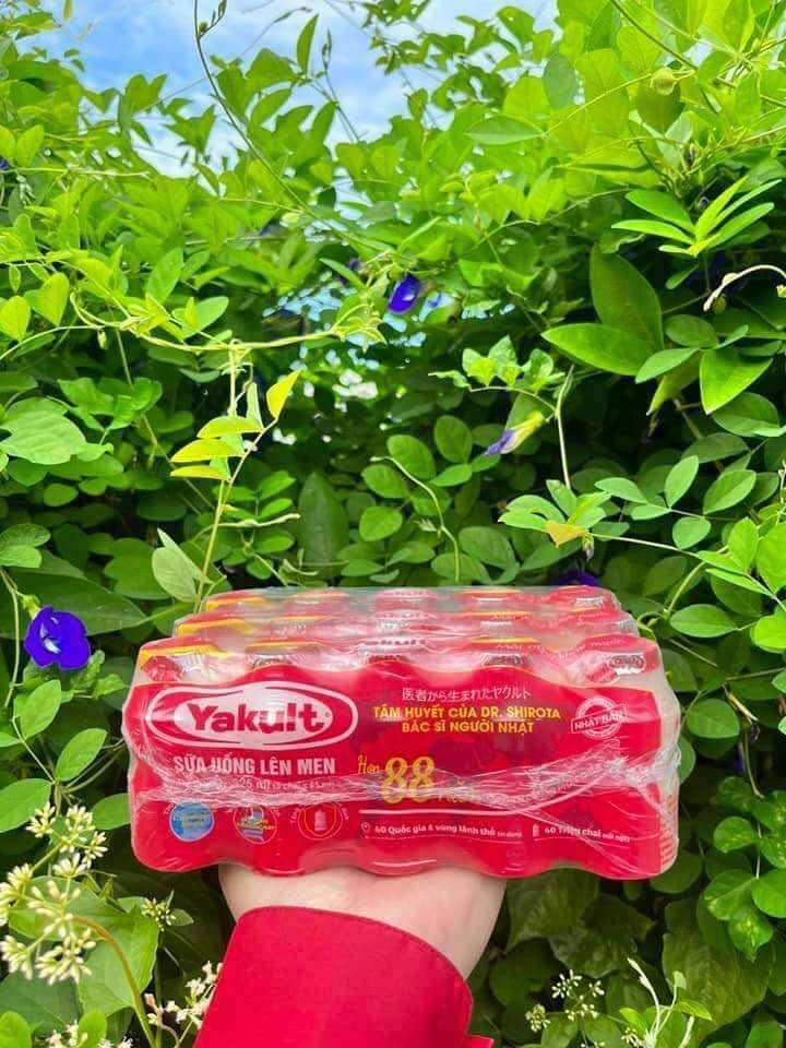 Sữa chua uống yakult / 50 chai
