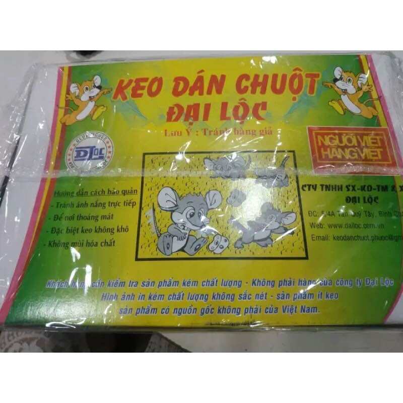 Combo 60. Miếng keo dán chuột siêu dính đại Lộc