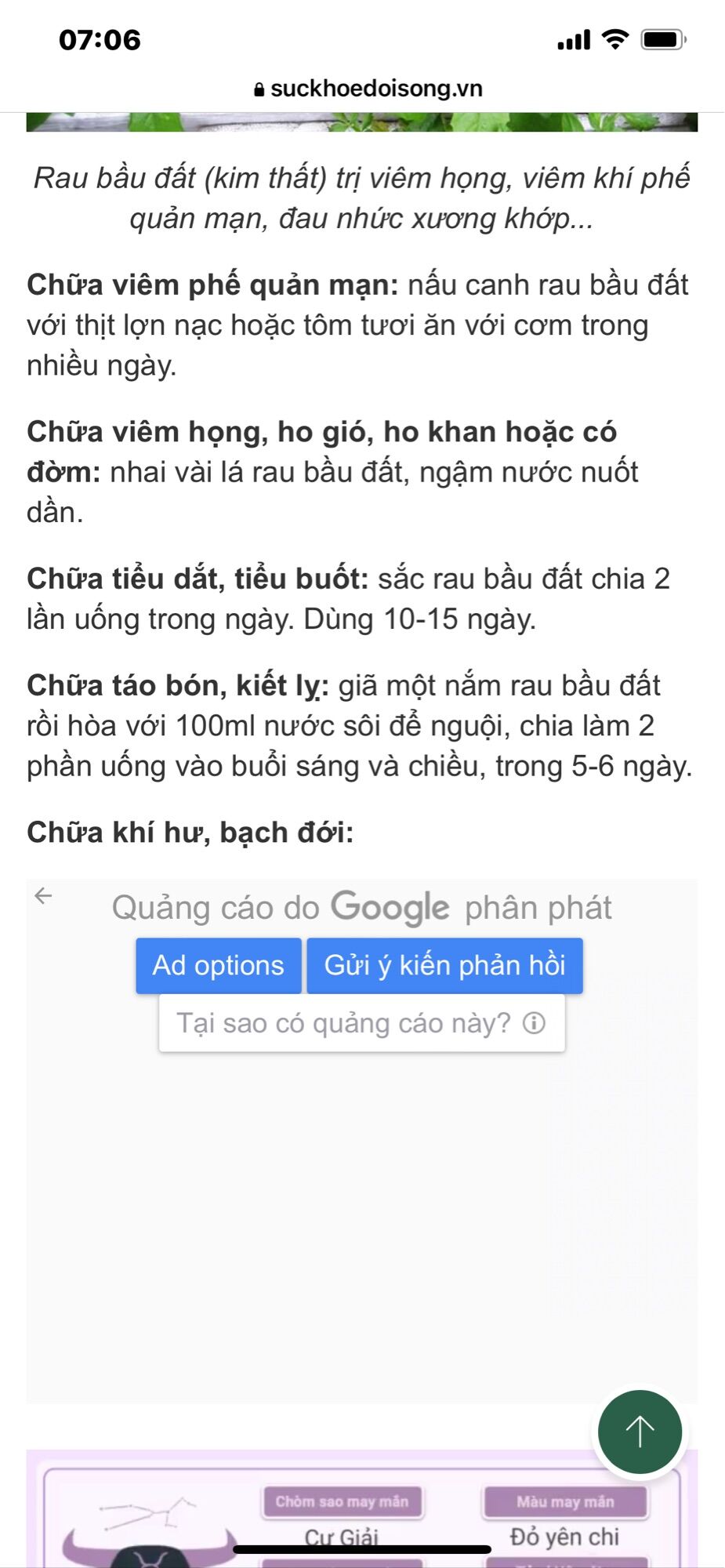 Cây rau bầu đất