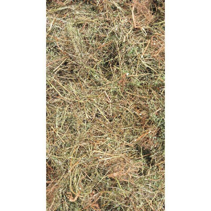 Diệp hạ châu(lá chó đẻ răng cưa) 1kg khô thơm sạch.
