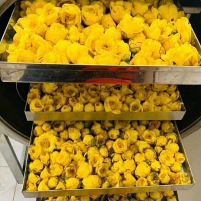 Trà hoa vàng (hộp 100gr)