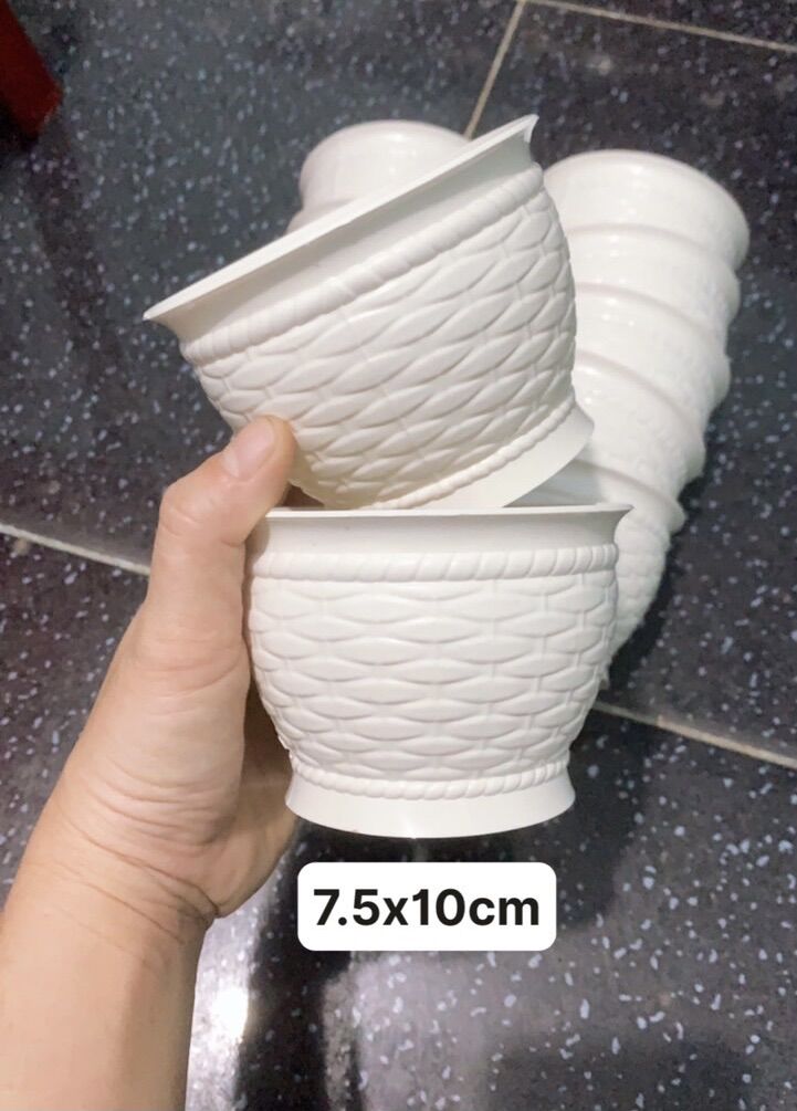 Combo 10 chậu nhựa trắng trồng cây (7.5x10cm)