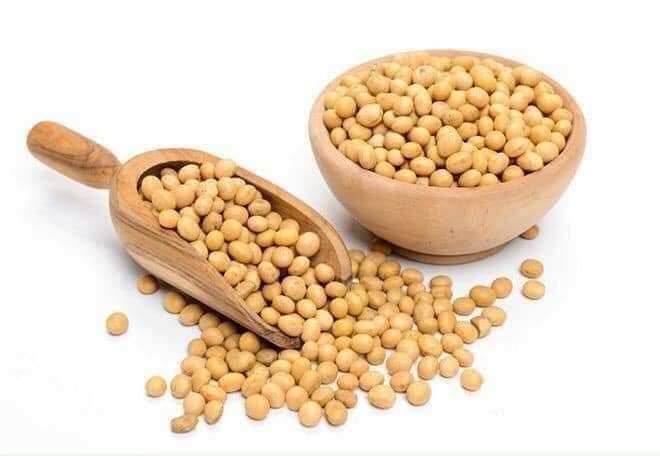 BỘT ĐẬU NÀNH  Bột đậu nành rang thơm lắm, nguyên chất không pha.  ✅ Cách pha chế : Cả nhà lấy ly ( ca ) lấy 2/3 muỗng cà phê bột đậu nành pha nước nóng, đập thêm đá vào uống là bao phê nhé. Rất tốt cho sức khỏe.  Cung cấp nhiều chất dinh dưỡng.