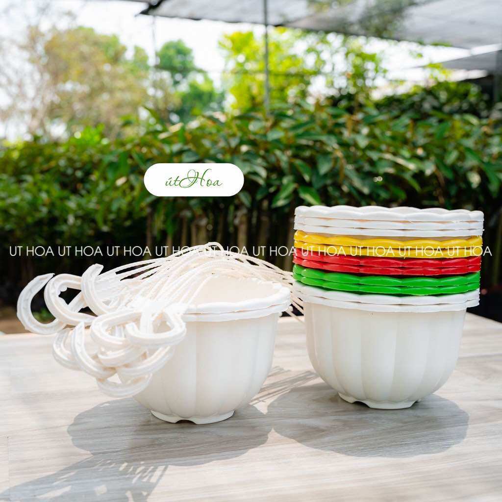 Combo 10 chậu treo bí lớn 22x14cm