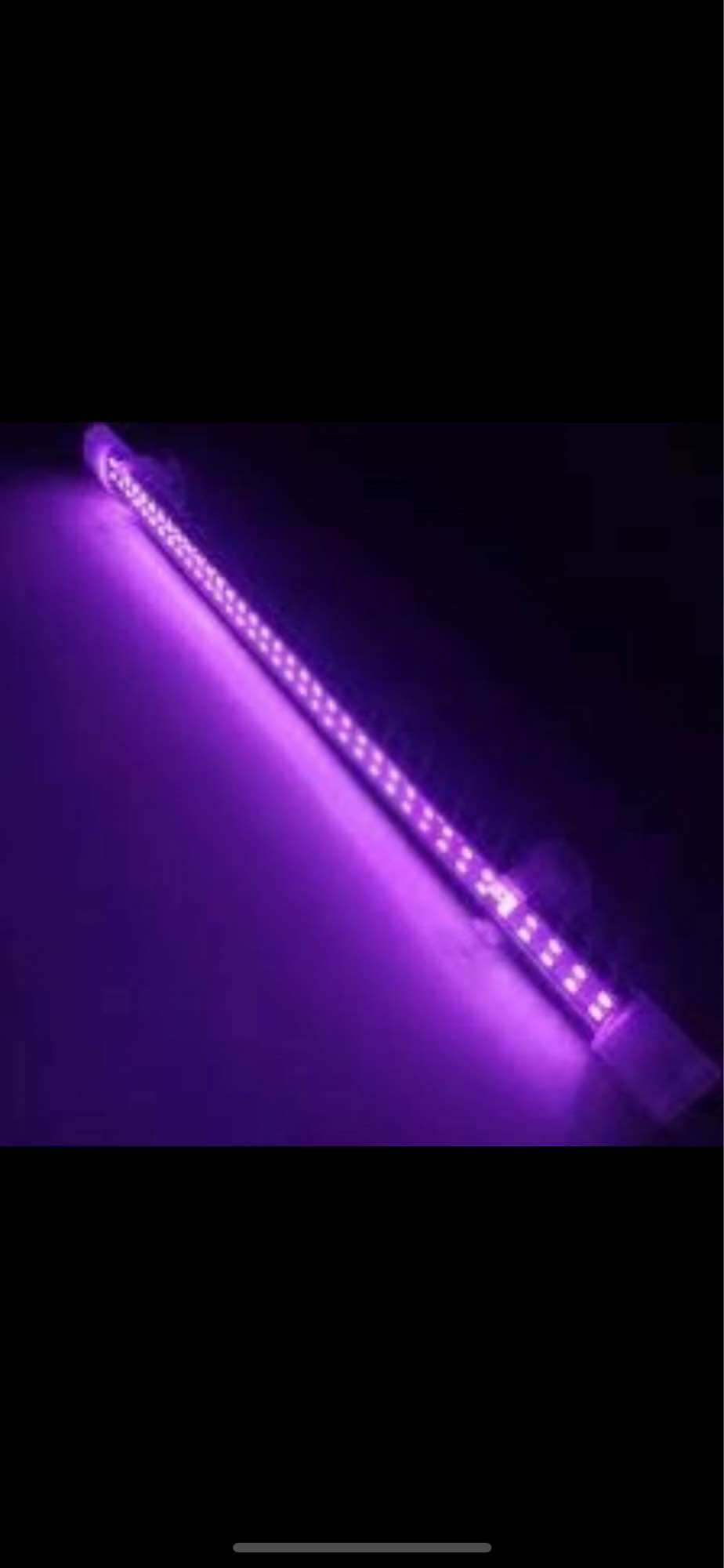 Bóng đèn led cá rồng xuân meilong 60cm màu trắng. phụ kiện hồ cá đèn led cá rồng xuân meilong 60cm