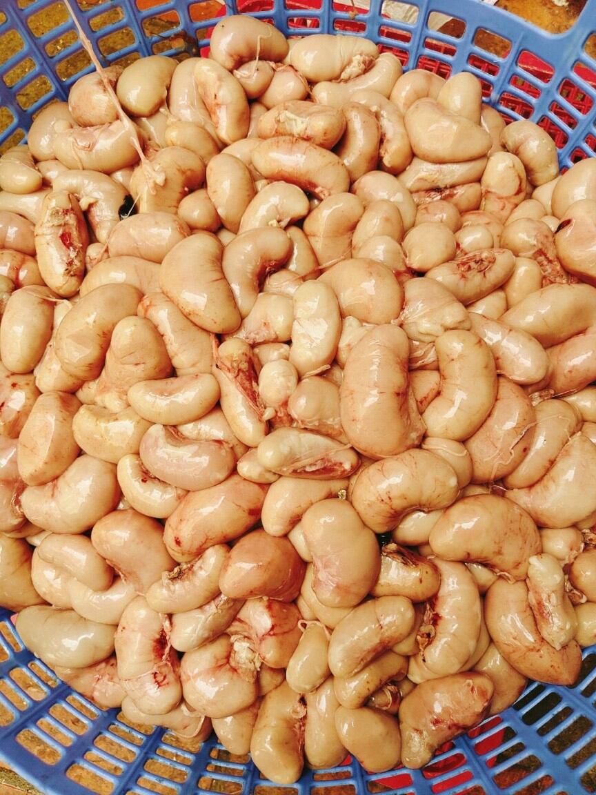 0,5kg Ngọc kê Gà tây (hỏa tốc tphcm)