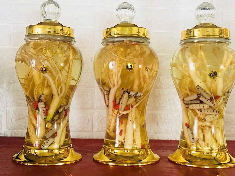 Mối chúa ngâm kết hợp đẳng sâm, kỷ tử bình 3 lít