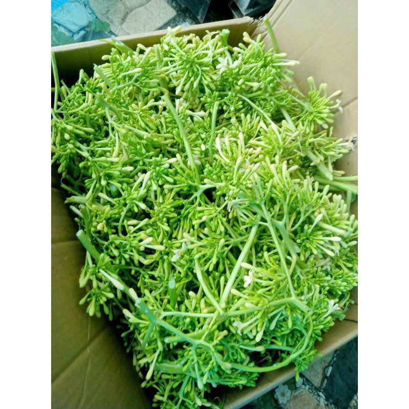 Hoa đu đủ đực ngâm mật ong hủ 1000ML (nhà làm,ngày ngâm 26/10/2024)
