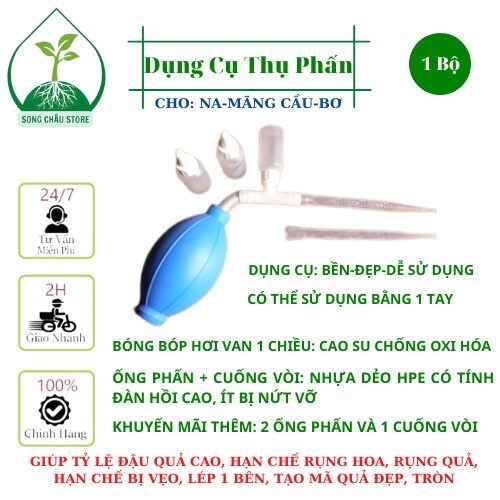 Dụng cụ thụ phấn cây bơ, na, mãng cầu