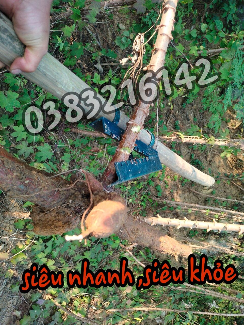 Dụng cụ nhổ sắn , máy nhổ sắn, kẹp nhổ sắn