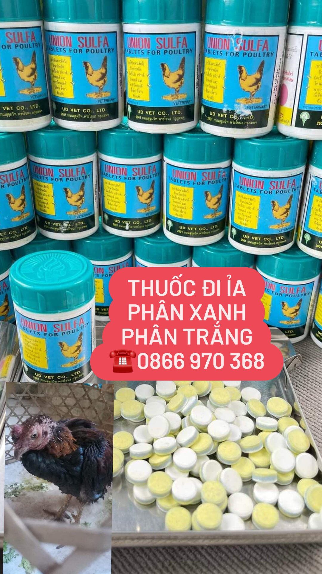 Cách c.hữa gà đi ỉa phân xanh phân trắng