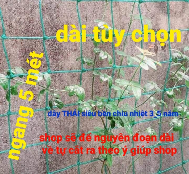 Lưới Thái làm giàn cây leo rộng 5 dài tuỳ chọn