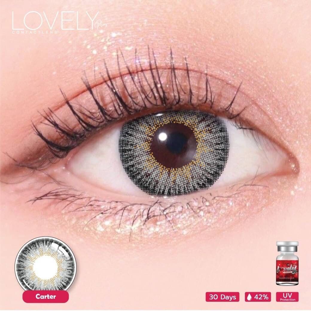 Lens Xám Tự Nhiên ( Được chọn mẫu ) - Dùng 1 năm ( tặng kèm khay đơn)