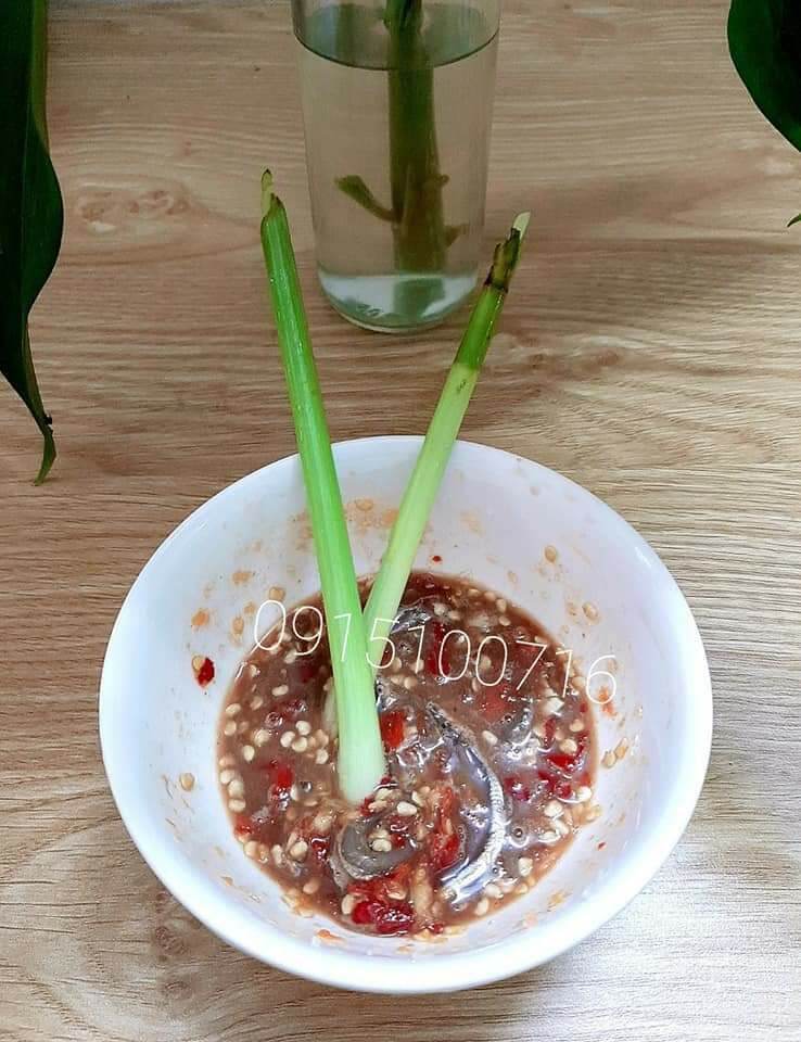 MẮM CÁ CƠM ĐẶC SẢN XỨ NẪU BÌNH ĐỊNH 500GR