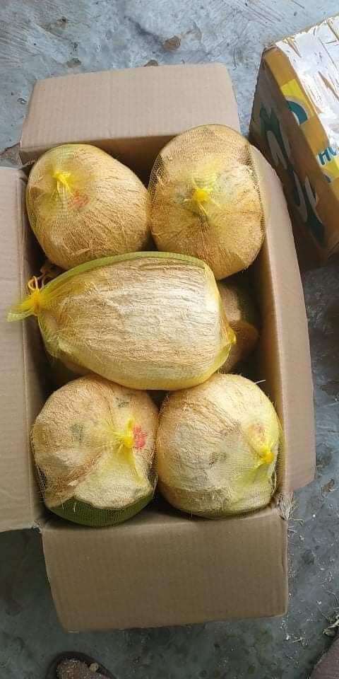 Dừa sáp trái 1kg trở lên bao ngon