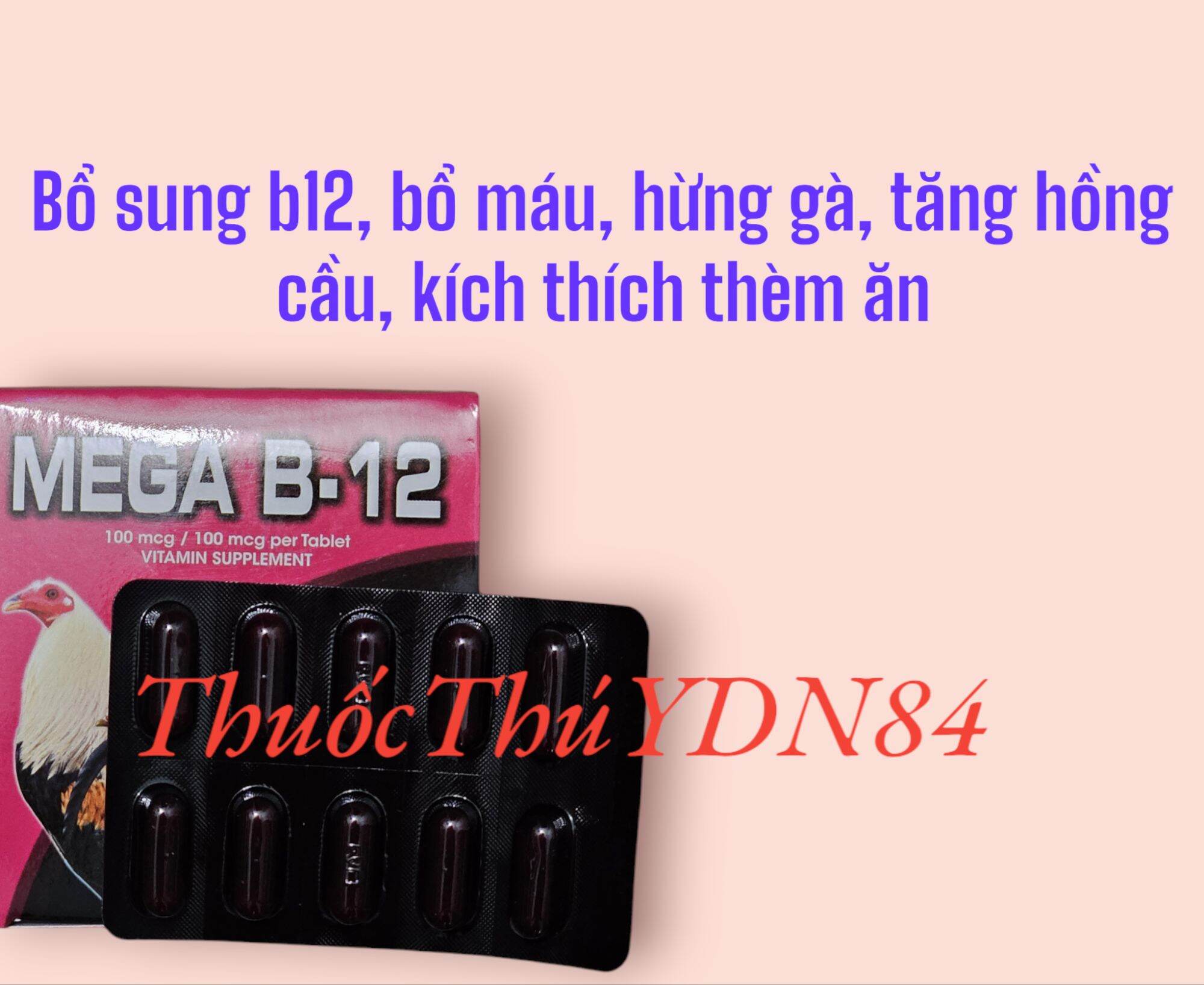 Hộp 10 vỉ [ 100 viên] MEGA B12 THUỐC NUÔI TĂNG NƯỚC MÁU CHO GÀ ĐÁ