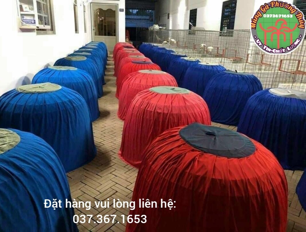 mùng trùm bội gà nòi combo ×5 cái