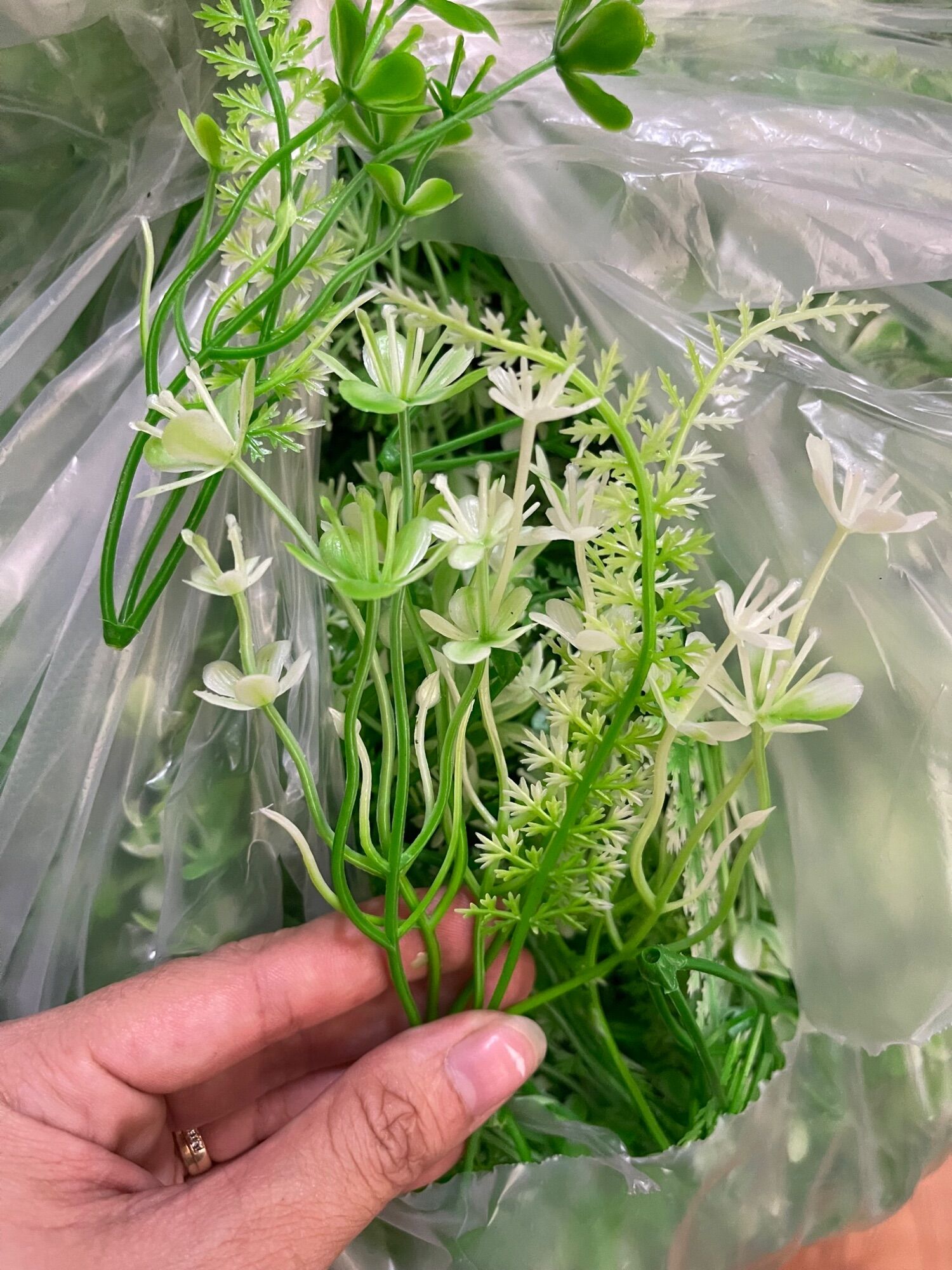 Cỏ điểm cắm hoa 100gram