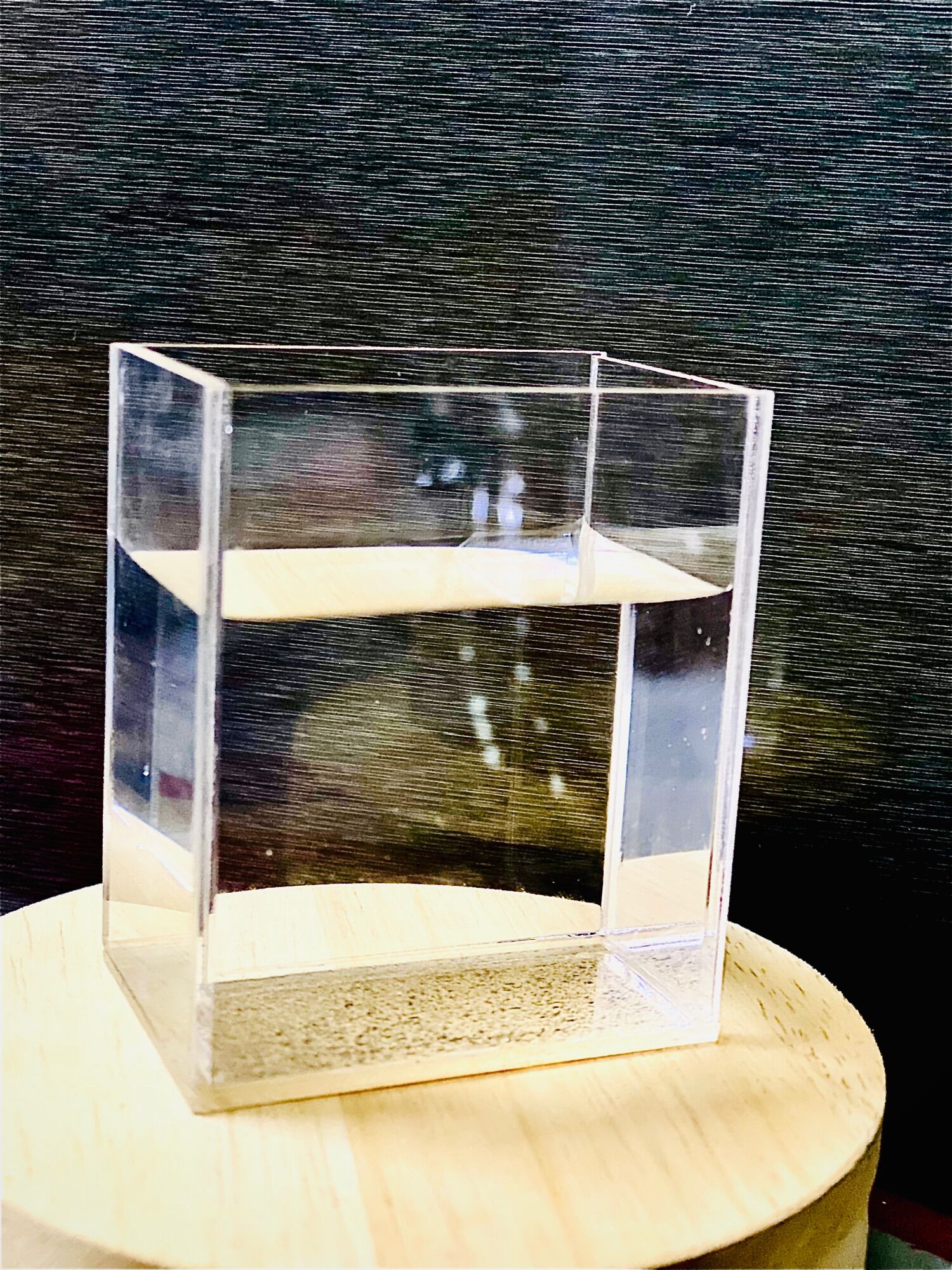 Hồ show cá guppy, betta Acrylic trong suốt( 12x12x7cm)