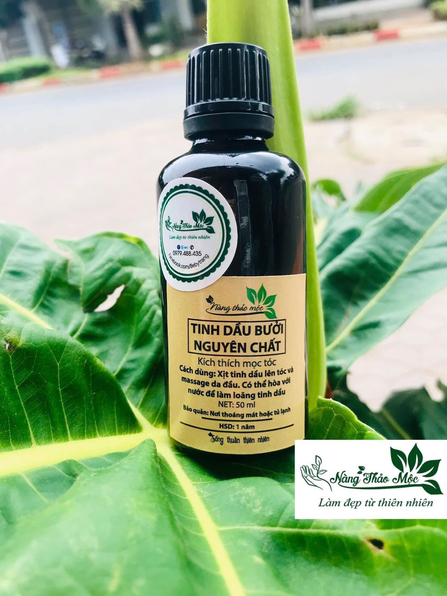 Tinh dầu bưởi nguyên chất 20ml